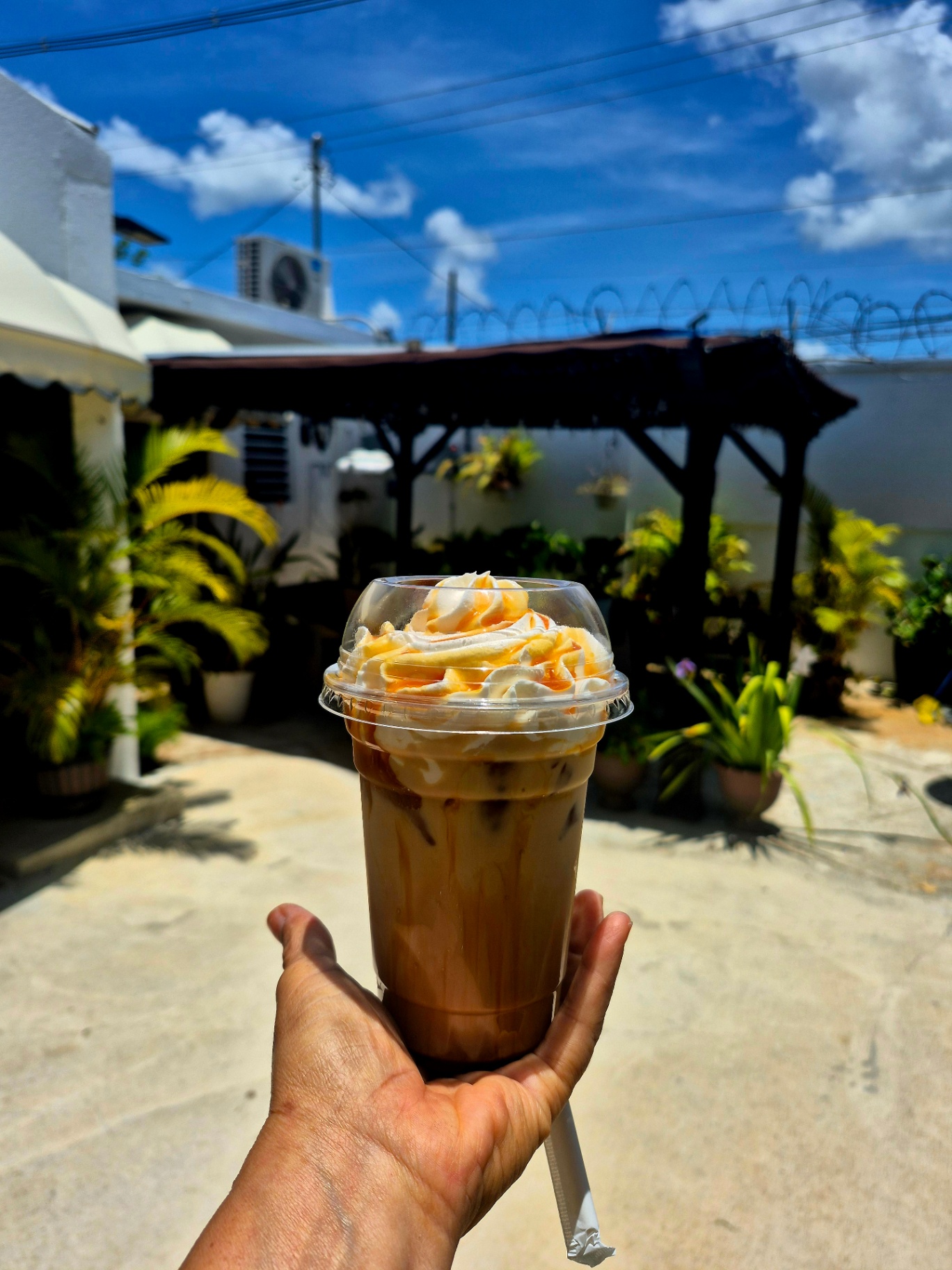 Iced Coffee Signatures